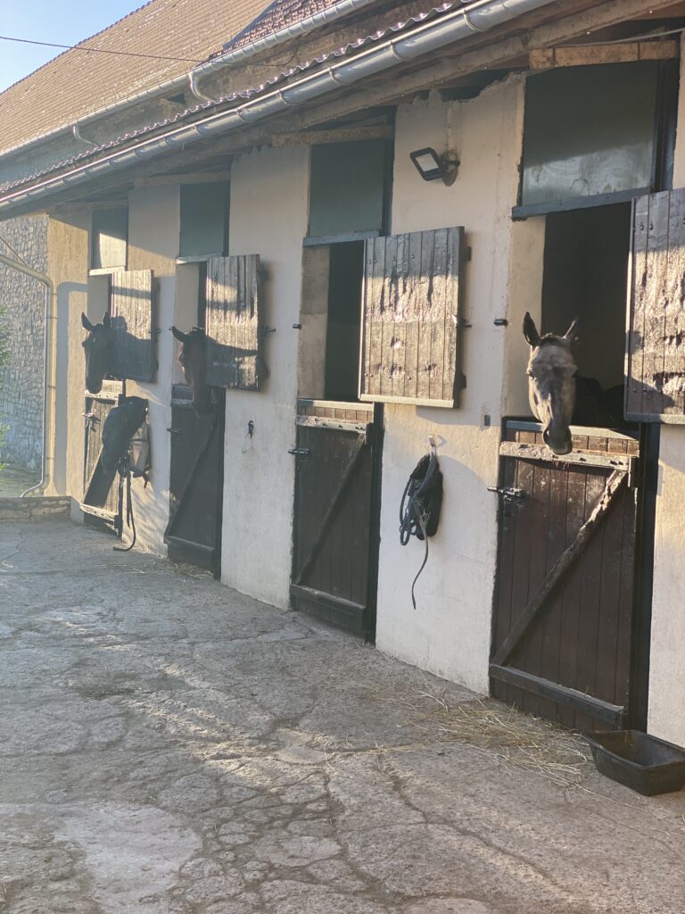 Box extérieurs